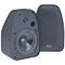 BIC America™ Venturi Adatto DV52SI 5 1/4 2-Way Indoor/Outdoor Speaker, 125 W, Black