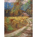 M C G Textiles 52424 Multicolor 12 x 16 Counted Cross Stitch Kit, After The Harvest