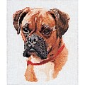 Thea Gouverneur TG933 White 10.63 x 8.75 Boxer On Linen Counted Cross Stitch Kit
