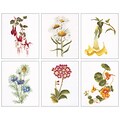Thea Gouverneur TG3084 Multicolor 8x6.75 Floral Studies 4 On Aida Counted Cross Stitch Kit, 6/Set