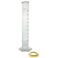 Kimble Chase LLC Single Scale Cylinder, Class B , 1000ml, 4/Case