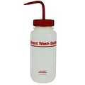 Nalge Nunc International Corp Wash Bottle, 1000 ml, 2/Pack