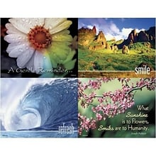 Medical Arts Press® Dental Assorted Laser Postcards, Nature Scenes, 100/Pk