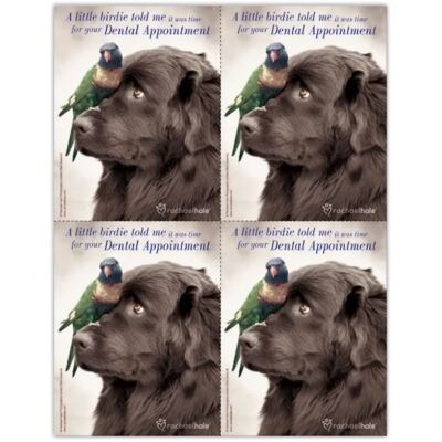 Rachael Hale® Laser Postcards, Take Care Dog, Little Birdie, Dental