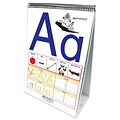 NewPath Learning Alphabet Curriculum Mastery Flip Chart Set