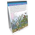 NewPath Learning Classification of Living Things Flip Chart Set