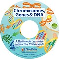 NewPath Learning Chromosomes, Genes & DNA CD-ROM