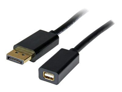 StarTech DisplayPort to mini DisplayPort 1.2 cable adapter