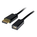 StarTech DisplayPort to mini DisplayPort 1.2 cable adapter