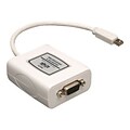 WH 6 Mini-DisplayPort To VGA Adapter F/PC