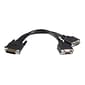 StarTech® 8" LFH/DMS 59 Male To Dual Female VGA Video Cable