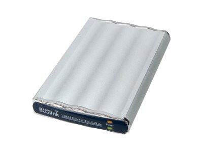 Buslink® Disk-On-The-Go 320GB 480 Mbps Read External Hard Drive (DL-320-U2)