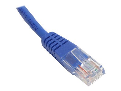 Blue 50 Cat 5e Molded RJ45 M/M Patch Cable