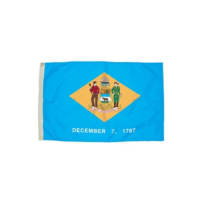 Flagzone Delaware Flag with Heading and Grommets, 3 x 5, Each