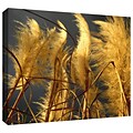 ArtWall Storm Swept Gallery-Wrapped Canvas 14 x 18 (0uhl015a1418w)