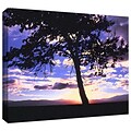 ArtWall Teton Meadow Sunrise Gallery-Wrapped Canvas 18 x 24 (0uhl017a1824w)