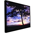 ArtWall Teton Meadow Sunrise Gallery-Wrapped Canvas 24 x 32 Floater-Framed (0uhl017a2432f)