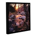 ArtWall Domeland Wilderness Gallery-Wrapped Canvas 14 x 14 Floater-Framed (0uhl024a1414f)