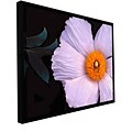 ArtWall Wild Hibiscus Gallery-Wrapped Canvas 14 x 18 Floater-Framed (0uhl044a1418f)