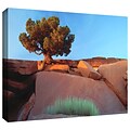 ArtWall Dead Horse Point Gallery-Wrapped Canvas 14 x 18 (0uhl049a1418w)
