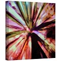 ArtWall Agave Glow Gallery-Wrapped Canvas 36 x 36 (0uhl069a3636w)