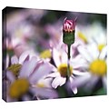 ArtWall New Arrival Gallery-Wrapped Canvas 14 x 18 (0uhl088a1418w)