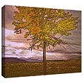 ArtWall Teton Meadow Fall Gallery-Wrapped Canvas 18 x 24 (0uhl098a1824w)