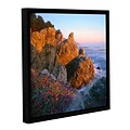 ArtWall Big Sur Sunset Gallery-Wrapped Canvas 14 x 14 Floater-Framed (0uhl104a1414f)