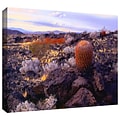 ArtWall In The Mojave Gallery-Wrapped Canvas 18 x 24 (0uhl110a1824w)