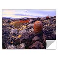 ArtWall In The Mojave Art Appeelz Removable Wall Art Graphic 18 x 24 (0uhl110a1824p)