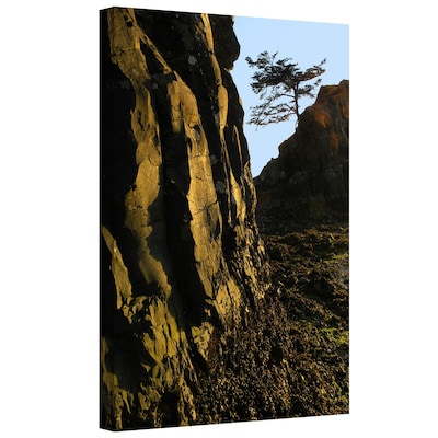 ArtWall Oregon Coast Sunset Gallery-Wrapped Canvas 14 x 18 (0uhl116a1418w)