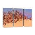 ArtWall Coral Dunes Noon 3-Piece Gallery-Wrapped Canvas Set 36 x 54 (0uhl129c3654w)