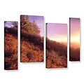 ArtWall Fire Light 4-Piece Gallery-Wrapped Canvas Staggered Set 36 x 54 (0uhl134i3654w)