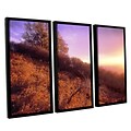 ArtWall Fire Light 3-Piece Canvas Set 36 x 54 Floater-Framed (0uhl134c3654f)