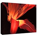 ArtWall Blossom Glow Gallery-Wrapped Canvas 14 x 18 (0uhl149a1418w)