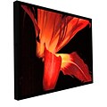 ArtWall Blossom Glow Gallery-Wrapped Canvas 14 x 18 Floater-Framed (0uhl149a1418f)
