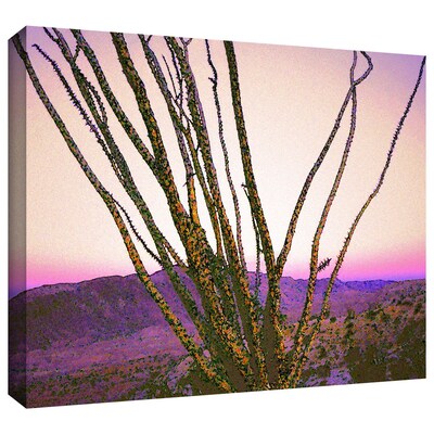 ArtWall Borrego Desert Dawn Gallery-Wrapped Canvas 24 x 32 (0uhl150a2432w)