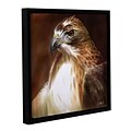 ArtWall RedTailed Hawk Gallery-Wrapped Canvas 24 x 24 Floater-Framed (0goa012a2424f)