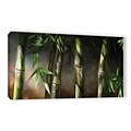 ArtWall Bamboo Gallery-Wrapped Canvas 24 x 48 (0goa037a2448w)