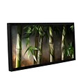 ArtWall Bamboo Gallery-Wrapped Canvas 24 x 48 Floater-Framed (0goa037a2448f)