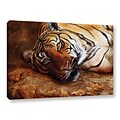 ArtWall Bengal Tiger Gallery-Wrapped Canvas 24 x 36 (0goa040a2436w)