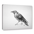 ArtWall Crow Drawing Gallery-Wrapped Canvas 24 x 32 (0goa049a2432w)