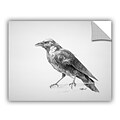 ArtWall Crow Drawing Art Appeelz Removable Wall Art Graphic 36 x 48 (0goa049a3648p)