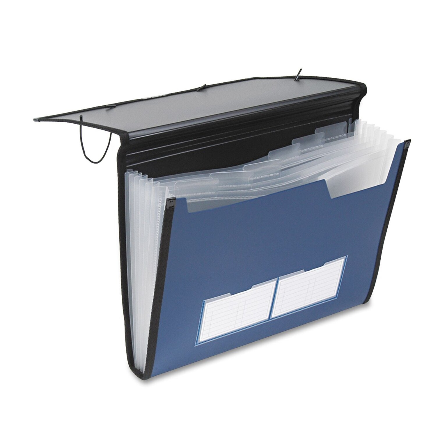 Pendaflex® Professional Expanding Organizer, Blue, Letter, Each (52670)