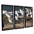 ArtWall Pigeons 3-Piece Canvas Set 36 x 54 Floater-Framed (0yor049c3654f)