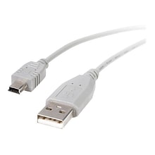 StarTech USB2HABM1 1ft Mini USB 2.0 Cable, A to Mini B, M/M