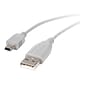 StarTech USB2HABM1 1ft Mini USB 2.0 Cable, A to Mini B, M/M