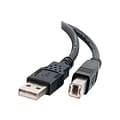 C2G 28104 5m Type A USB 2.0 to Type B USB 2.0 Male/Male Data Transfer Cable; Black
