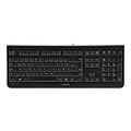 CHERRY JK-0800EU-2 17.5? USB Interface 104-Key Economical Corded Keyboard, Black