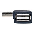 Tripp Lite Universal Reversible Type-A USB/Type-A USB Male/Female Hi-Speed Adapter, Black (UR024-000-RA) (3866579)